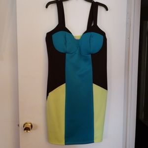 Bodycon Color Block Dress